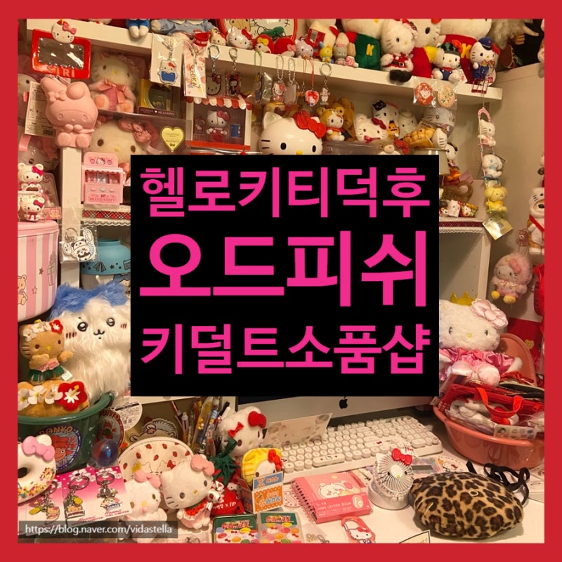 대구 동성로키덜트샵 헬로키티 산리오덕후 오드피쉬