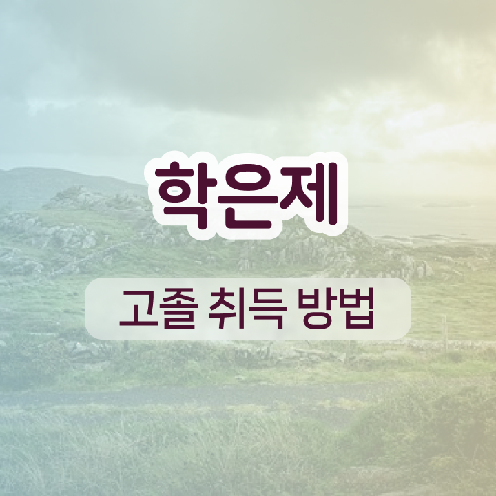  학점은행제 학위 온라인 수업만으로 고졸자도 편하게 성공한 후기