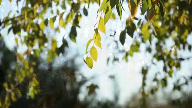  가족해외여행지 , 현지 전문가 가 정리해드려요 (무료 서비스)