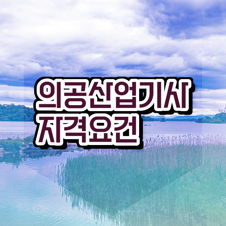  의공산업기사 응시조건 의공산업기사 시험응시자격 독학으로 4개월 만에 준비한 전략