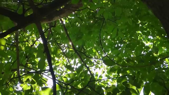  금천구 독산2동 변기이물질막힘 차단 노하우