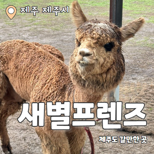  새별프렌즈 : 동물 먹이도 주고 힐링도 가능한 제주 애월 동물원