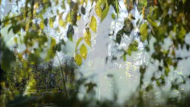  백화점웨딩박람회 웨딩박람회 가이드 스몰웨딩 점검하는 방법