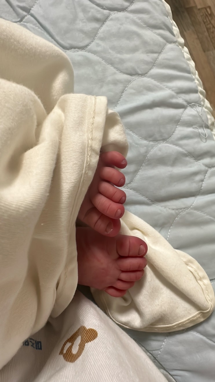  제왕절개 출산 후 6박7일 입원 일기 | 창원 미즈맘산부인과