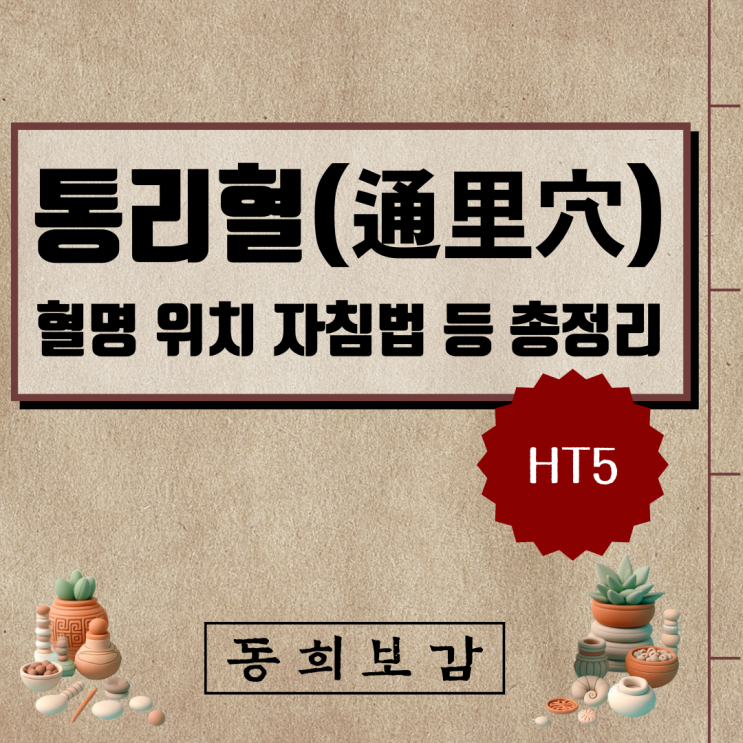  통리혈(通里穴) HT5, 소속경맥 혈명 위치 특성 자침법 등 총정리