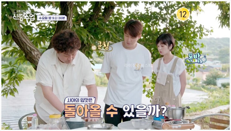 신랑수업 심형탁 사야 정준하 매실 장아찌 우메보시 요즘남자라이프 채널A 한일국제부부 요식업CEO 매실밭 여름철기력회복 입맛변화 보양식