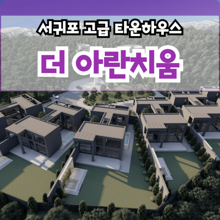  더 아란치움 제주도 고급 타운하우스 : 서귀포 서홍동 수영장 단독주택