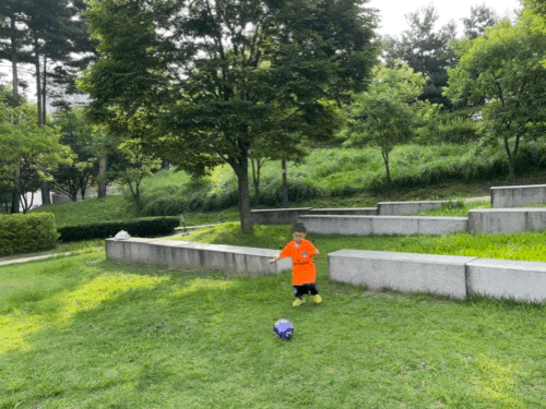  주말 아침 축구하기, 경기북부어린이박물관 영아존 바다놀이터