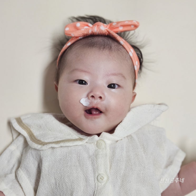  132일 - 138일 블루래빗 서포터즈 딩굴딩굴한주