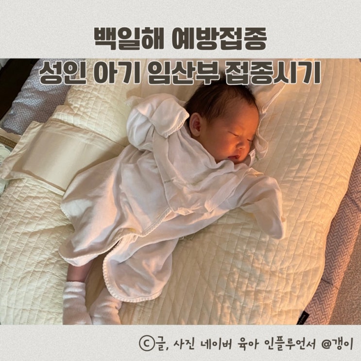  백일해 예방접종 성인 아기 임산부 접종 시기