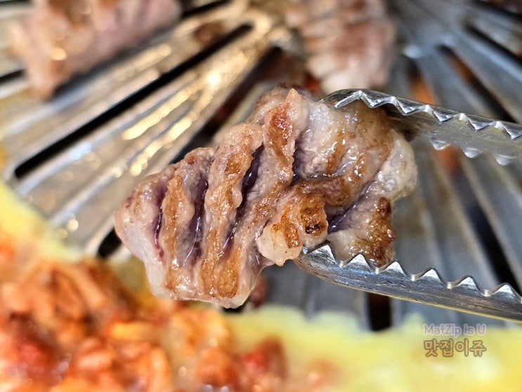  봉명동 고기집 맛집 추천 온천갈매기