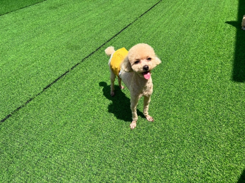 행복미용실 이미지