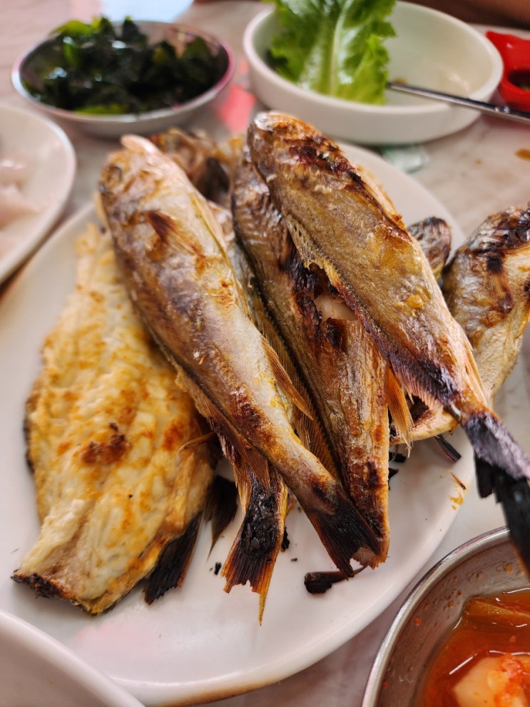  강화도횟집, 황용호 생선회맛집VS 건대참치, 황제참치 건대 참치맛집