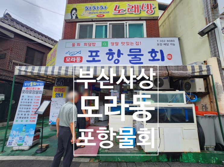  부산사상맛집 물회맛집 모라동 포항물회 재방문맛집