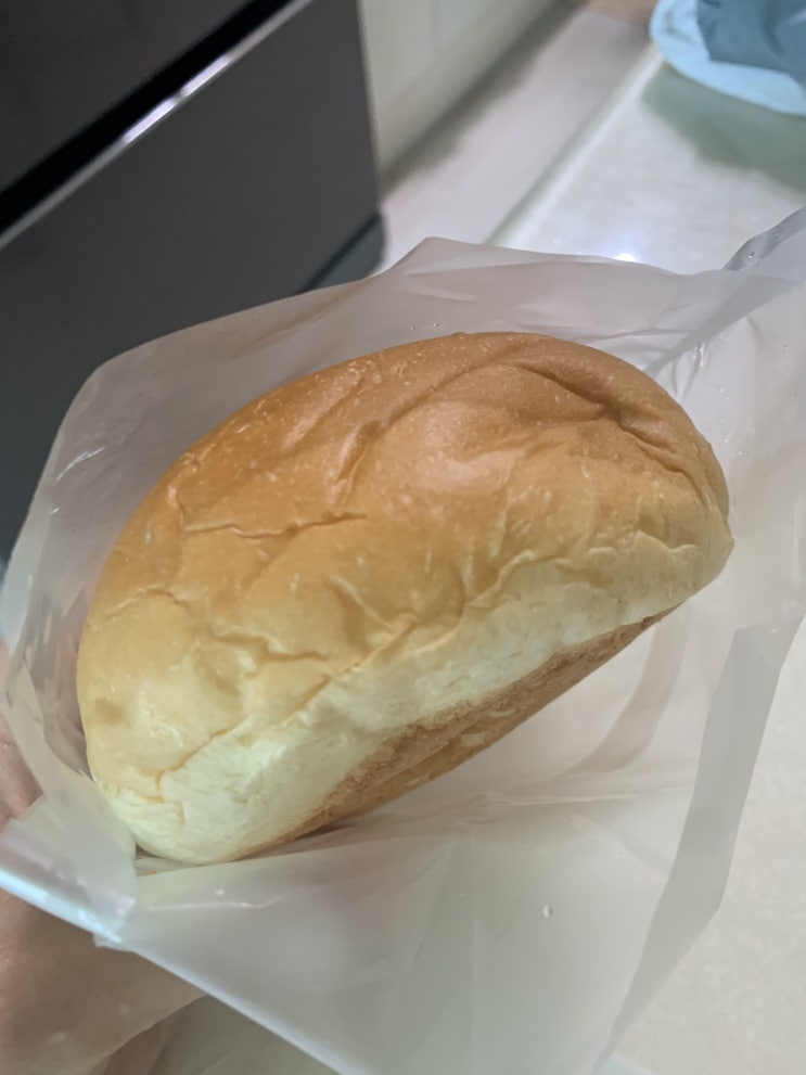 우유 크림빵을 먹어보다 우유 크림빵을 먹어보다