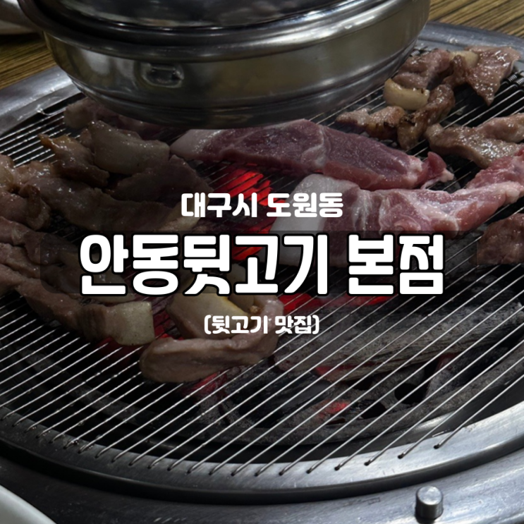 대구 목덜미살 뒷고기 맛집 안동뒷고기 본점 대구 목덜미살 뒷고기 맛집 안동뒷고기 본점