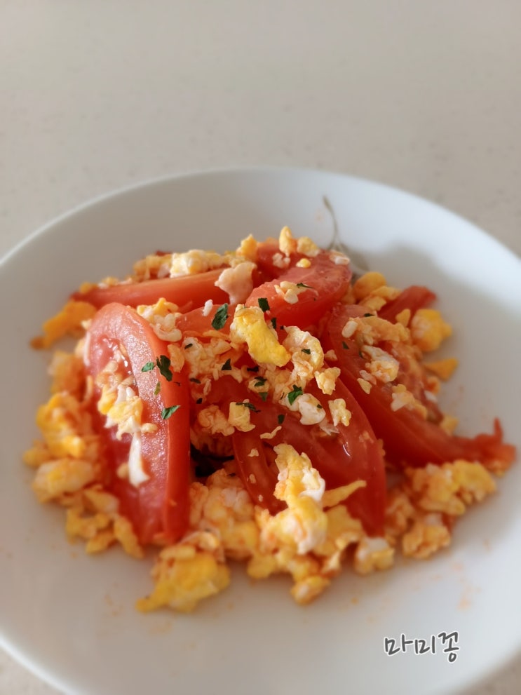  토마토 계란볶음 아침식사 대용 다이어트 음식 토마토 스크램블 에그