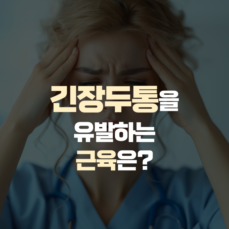 긴장두통의 원인이 되는 근육은? 긴장두통의 원인이 되는 근육은?