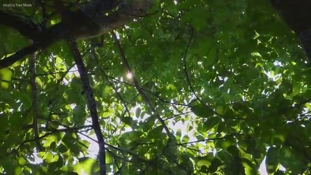  대전 결혼박람회 , 웨딩 스튜디오 찾아보기 합리적인 선택 , 결혼박람회에서 결혼준비 완벽히