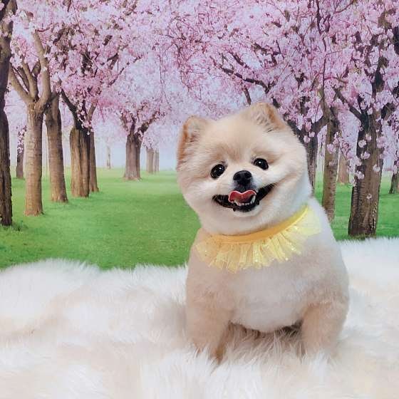 사진 2