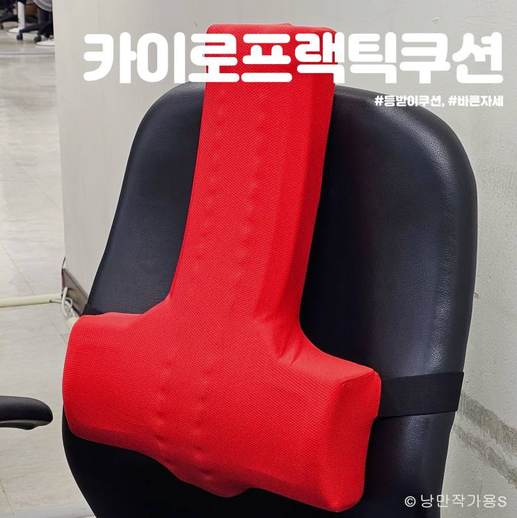 바른자세 교정을 위한 허리 등받이쿠션 추천 발란스코드 카이로프랙틱쿠션 사용후기 바른자세 교정을 위한 허리 등받이쿠션 추천 발란스코드 카이로프랙틱쿠션 사용후기