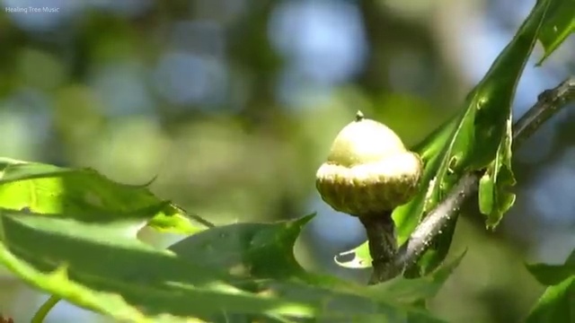  웨딩플래너업체 웨딩플래너 예산에 맞는 곳 찾아보세요 , 결혼박람회에서 결혼준비 깔끔하게 계획하는 노하우