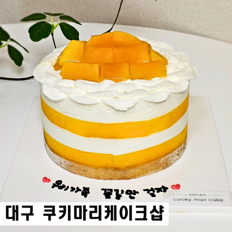  대구 수성구 케이크 맛집 쿠키마리케이크샵 망고 케이크