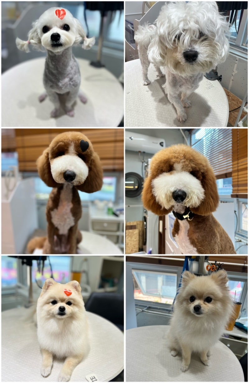 행복미용실 이미지