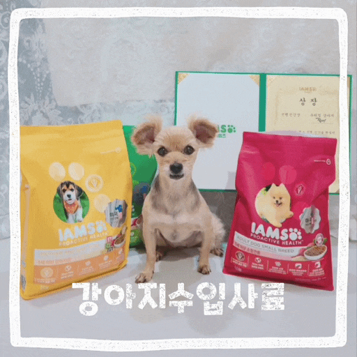  애견 사료 추천 안전한 해외 강아지 사료 기호성 좋은 아이엠즈