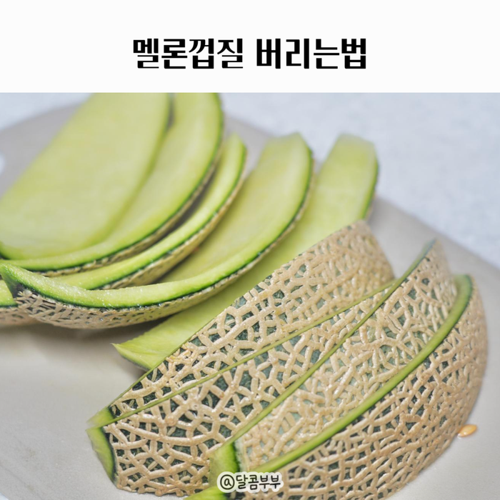 메론껍질 일반쓰레기 음식물 멜론 껍질 분리수거 방법은