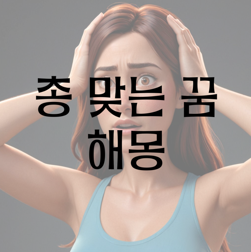 총 맞는 꿈/ 칼 맞는 찔리는 꿈 해몽(등, 가슴, 목, 다리, 머리, 배 총 맞는 꿈)
