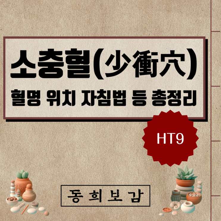  소충혈(少衝穴) HT9, 소속경맥 혈명 위치 특성 자침법 등 총정리