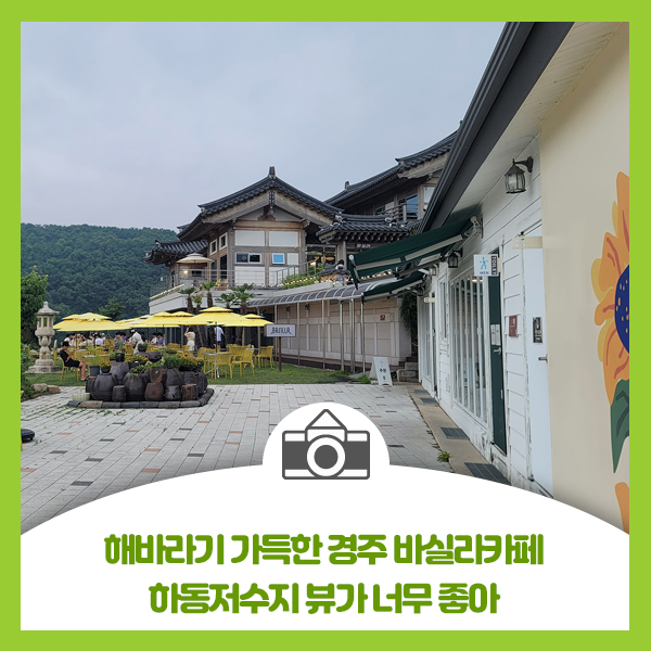  해바라기 가득한 경주 바실라카페, 하동저수지 뷰가 너무 좋아요