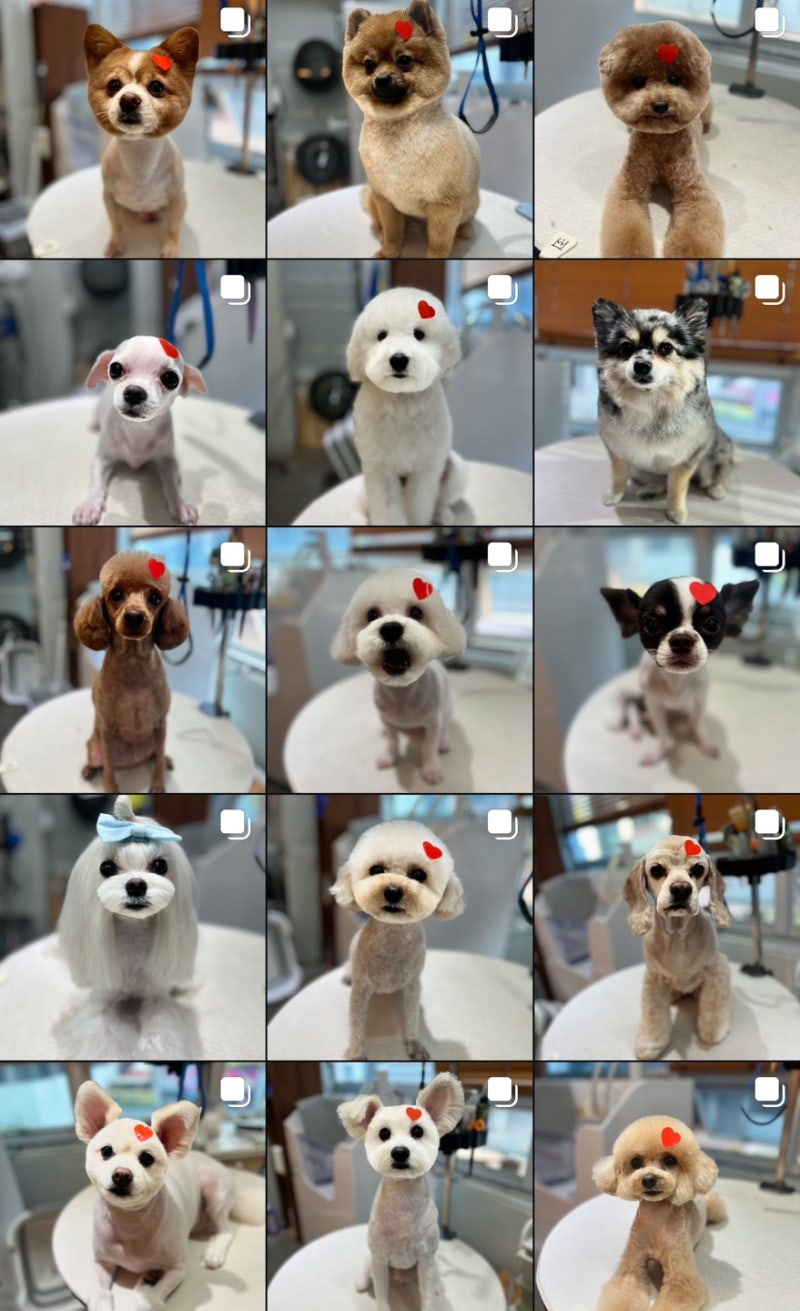 행복미용실 이미지