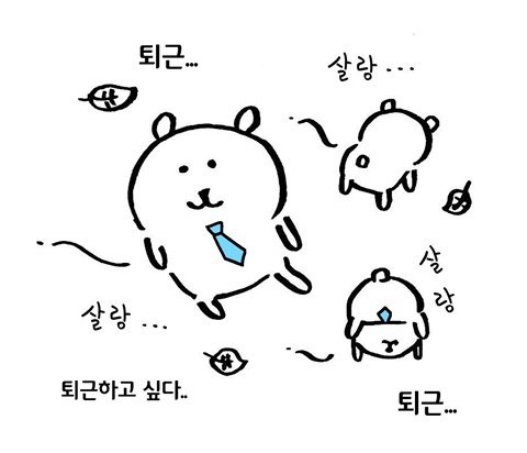  [율밥퍼] SAP ABAP SQL편 - SELECT REPLACE, LPAD, RPAD