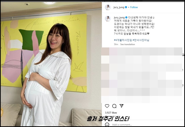 <b>정주리 다섯째 임신</b> 인스타 초기 아들만 넷