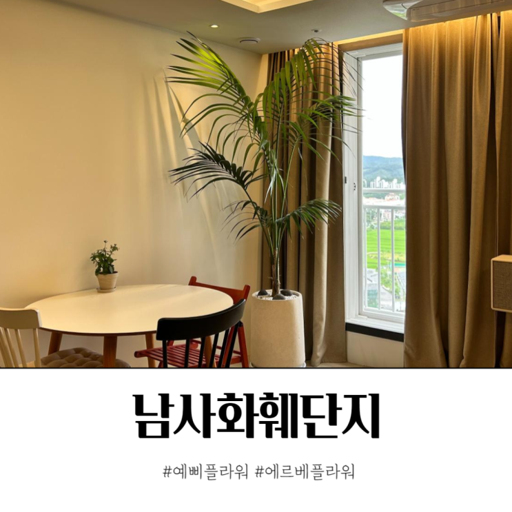 남사화훼단지에서 키우기쉬운식물 찾기