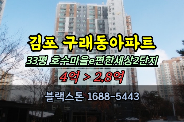  구래동 호수마을e편한세상2단지 경매 33평 구래역아파트