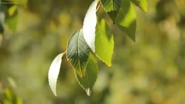  제주 결혼박람회 , 웨딩박람회 의 첫걸음 허니문패키지 알아보는 법