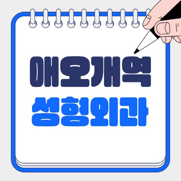  애오개역 성형외과 마포동, 망원동, 현석동 흉터, 눈, 코, 지방이식 정보
