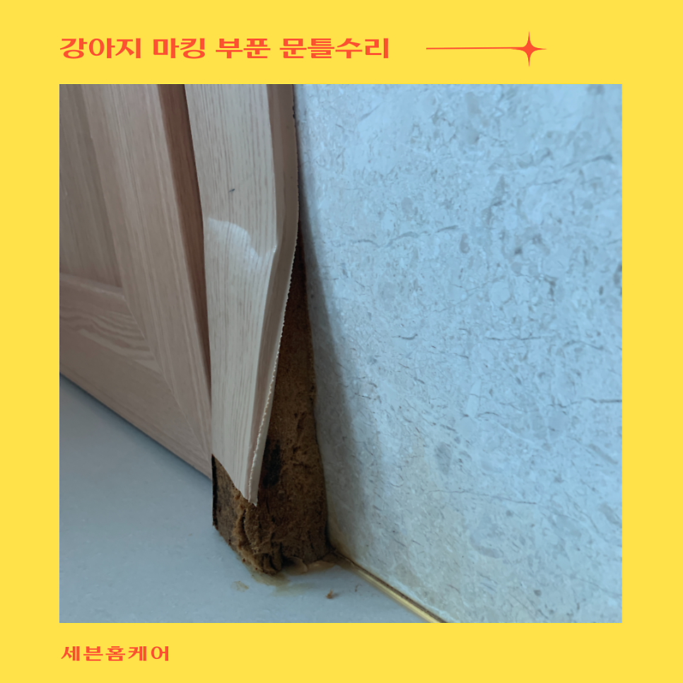 강아지마킹으로 부푼 문틀수리 몰딩복원