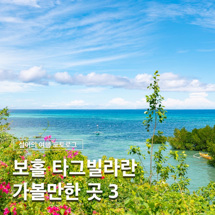  보홀 여행 타그빌라란 가볼만한곳 혈맹기념비 박물관 맛집