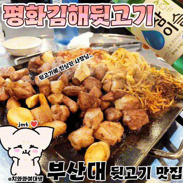  부산대 뒷고기 맛집 평화김해뒷고기 고기집 후기