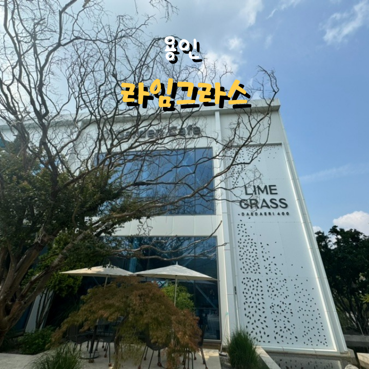  용인 캠핑카페 라임그라스 대형 베이커리 카페