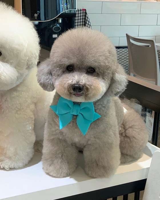 사진 2