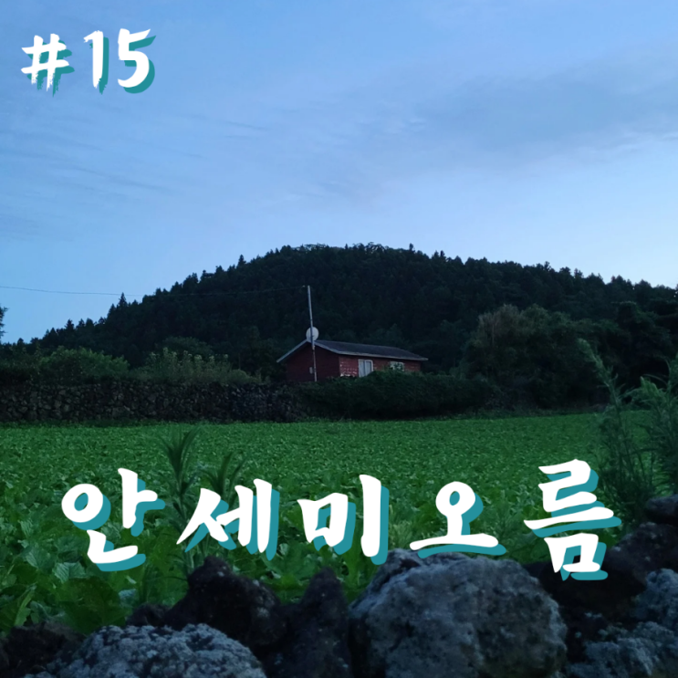  제주 동쪽 오름 안세미오름 올라 보는 저녁노을