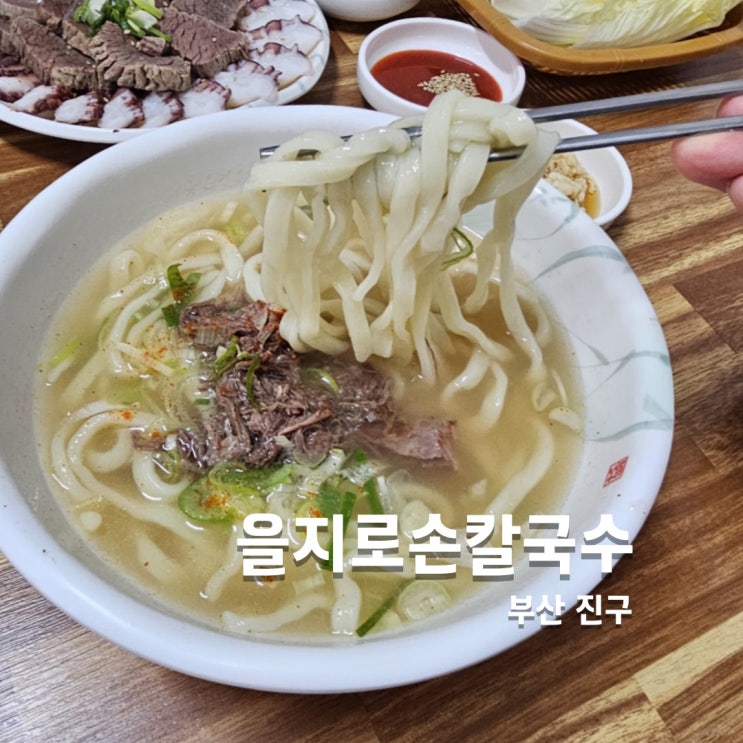  부산 시청 점심 맛집 을지로손칼국수 칼국수 전문점