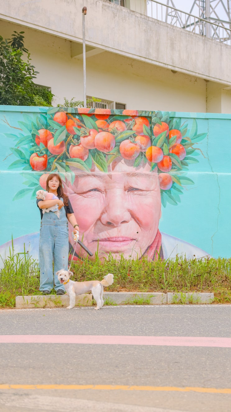 신안 자은도 여행 코스, 가볼만한 곳,  반려견동반, 해변추천