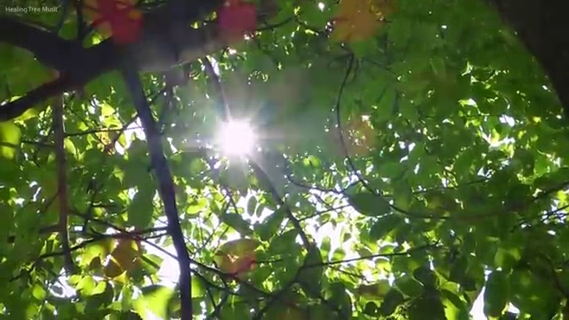  웨딩박람회 일정 웨딩플래너 추천 가이드 , 결혼박람회에서 결혼준비 전략적으로 혜택받는 방법