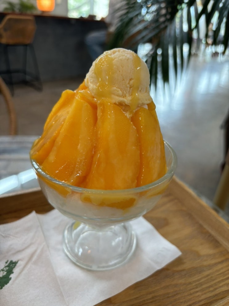  [먹쿠슬낭 제주] 찐제주도 애플망고빙수 살살녹아부림..!